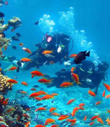 activity-andaman